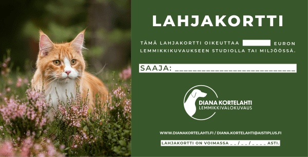 Lahjakortti lemmikkikuvaukseen - Image 3