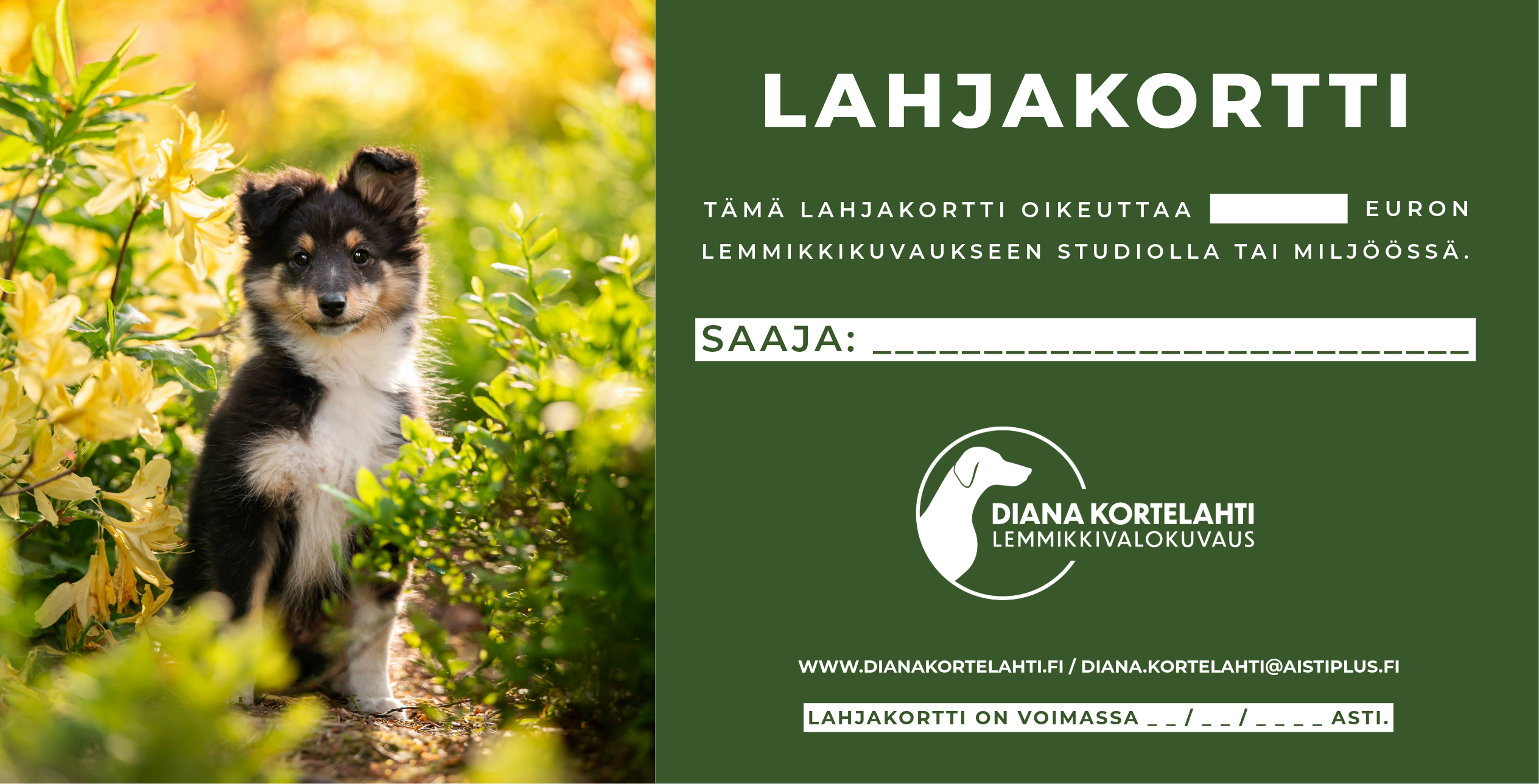 Lahjakortti lemmikkikuvaukseen - Image 2